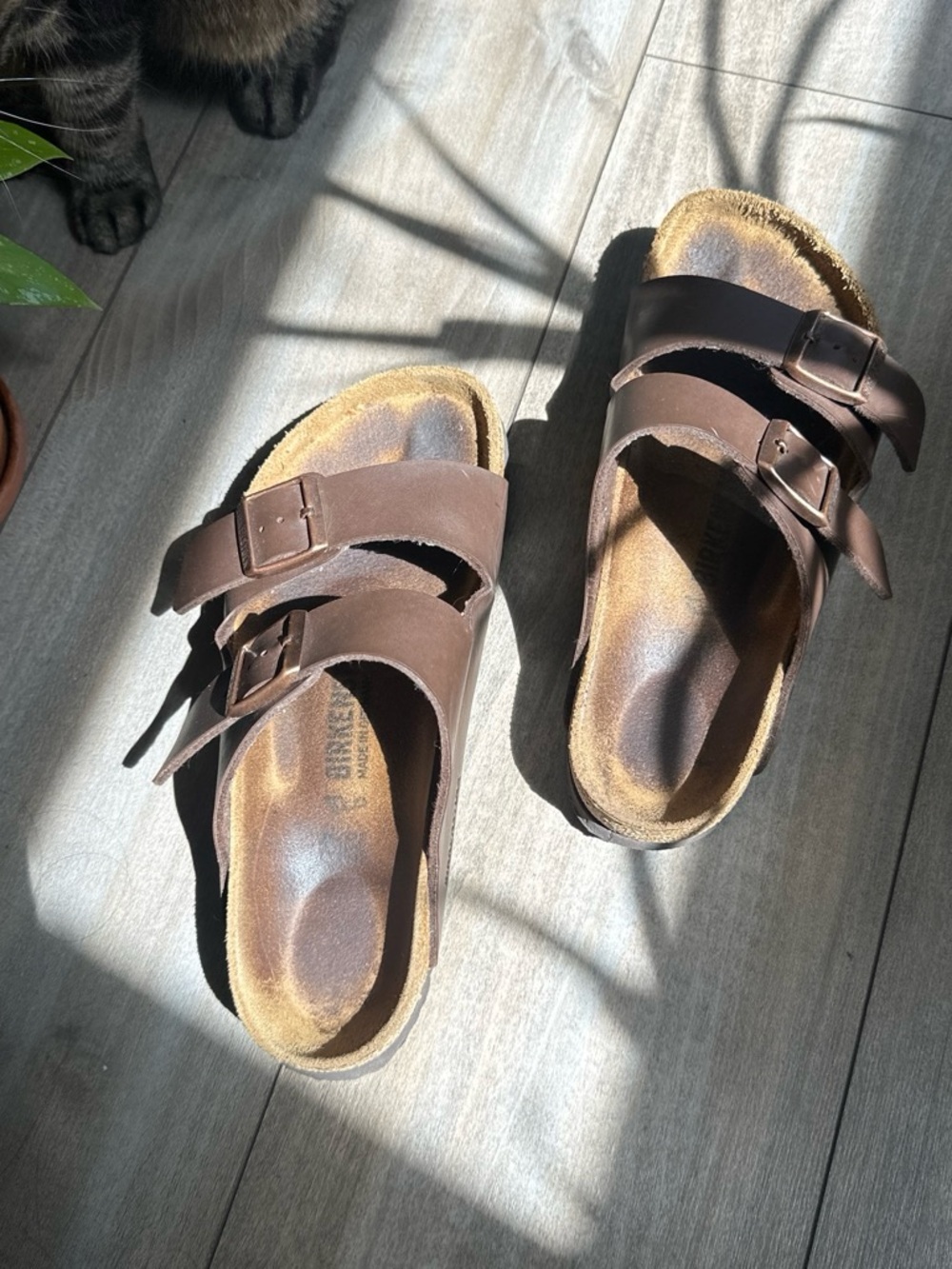 Brown Two-Buckle Comfort Sandals